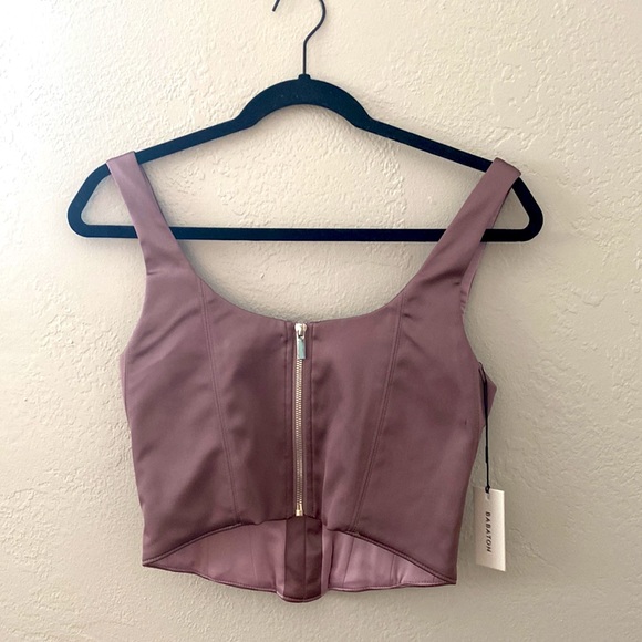 Aritzia Babaton Bustier - Picture 5 of 6